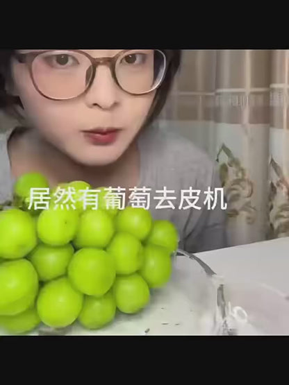 Fruit and Vegetable Peeler